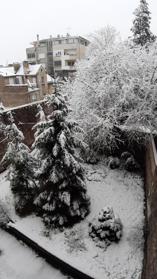 Azzurro * Belgrad