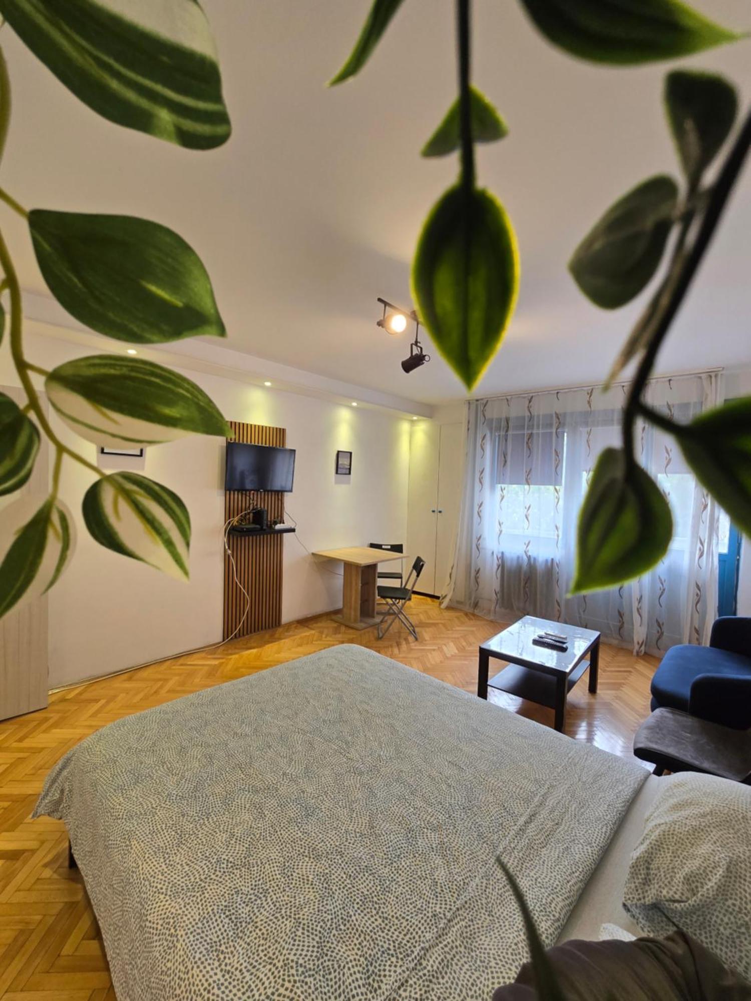 Azzurro Apartment *