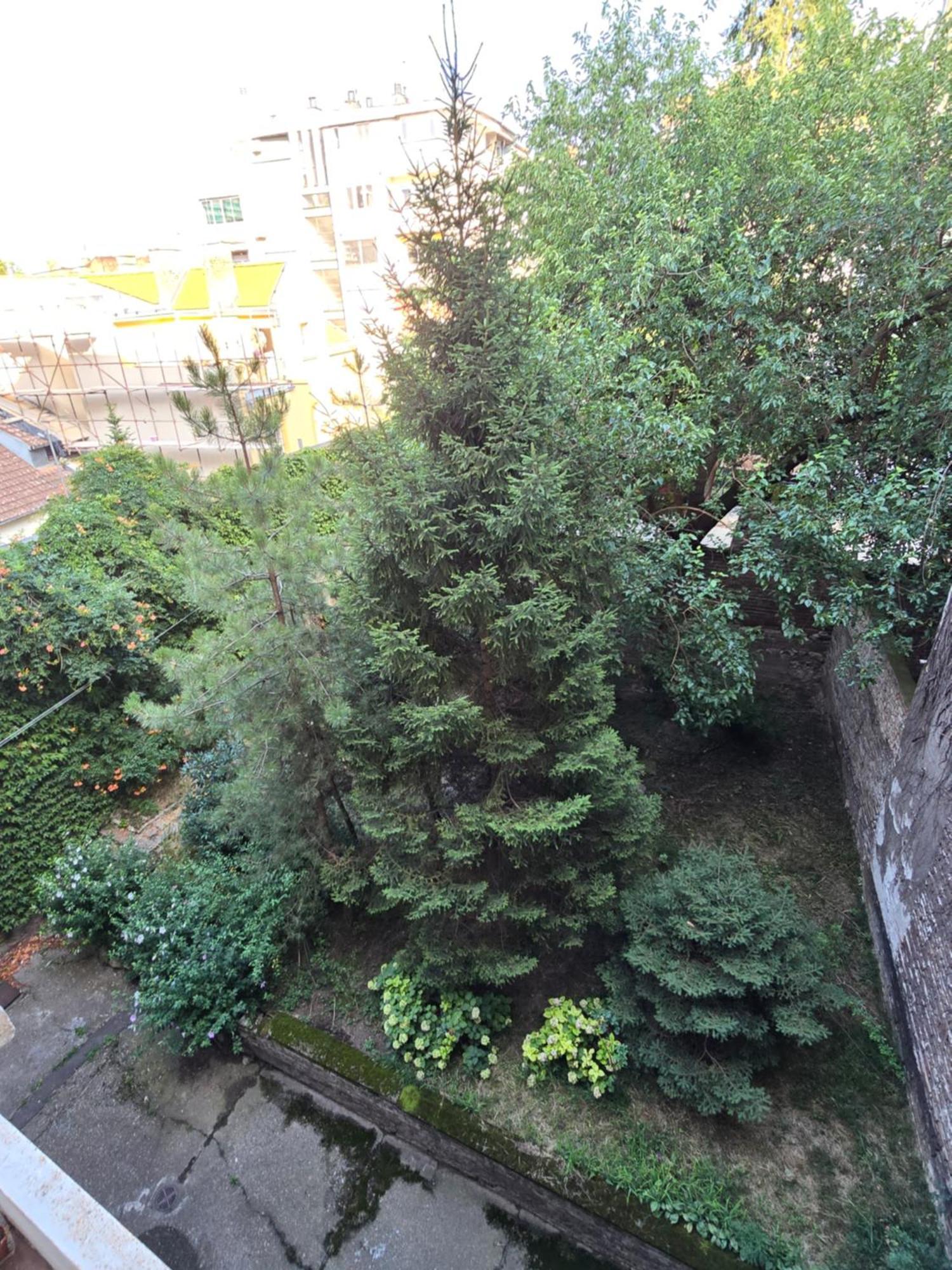 Azzurro Apartment Belgrad